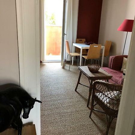 Appartement Hippolyte モンペリエ エクステリア 写真